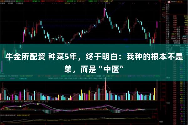 牛金所配资 种菜5年，终于明白：我种的根本不是菜，而是“中医”